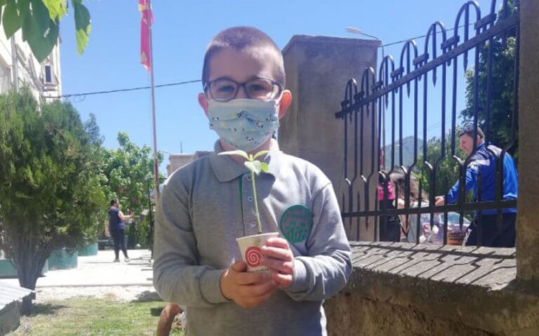 Пчелички повелете на нашите сончогледови шапки