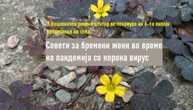 Покана за учество на 6-та онлајн работилница