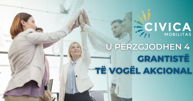 U ndanë katër grante të vogla veprimi për organizatat qytetare