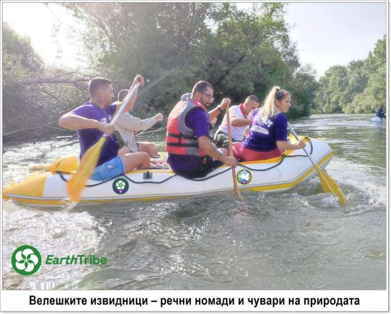 [aggregator] downloaded image for imported item #40910