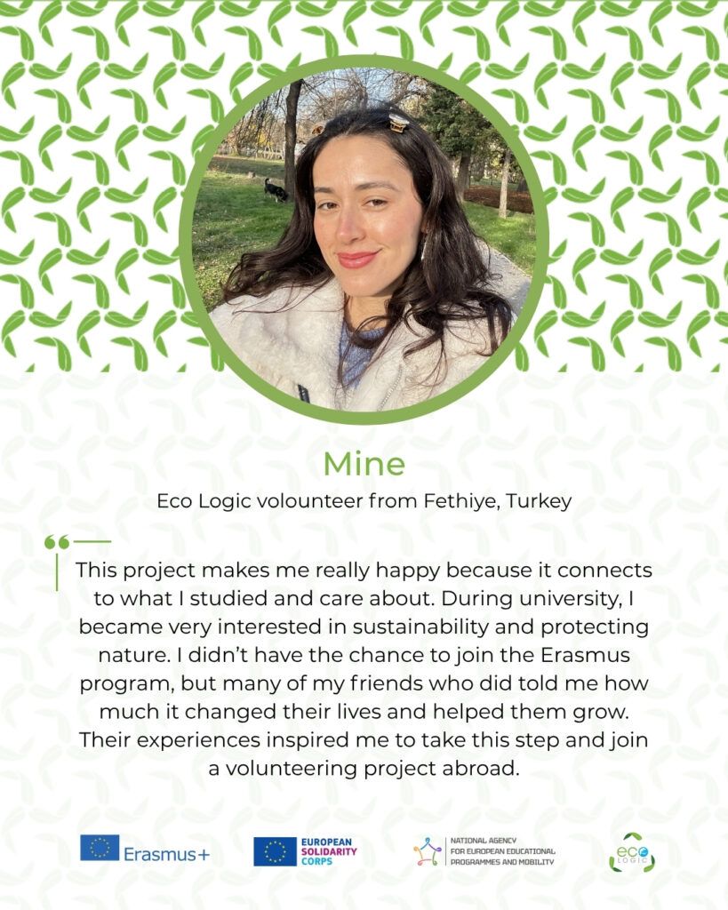 [Aggregator] Downloaded image for imported item #41678