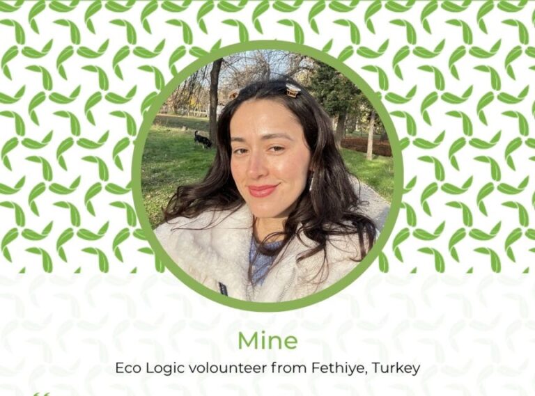 [Aggregator] Downloaded image for imported item #41678