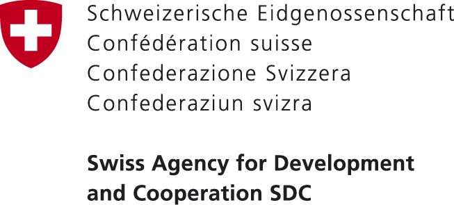SDC RGB hoch pos