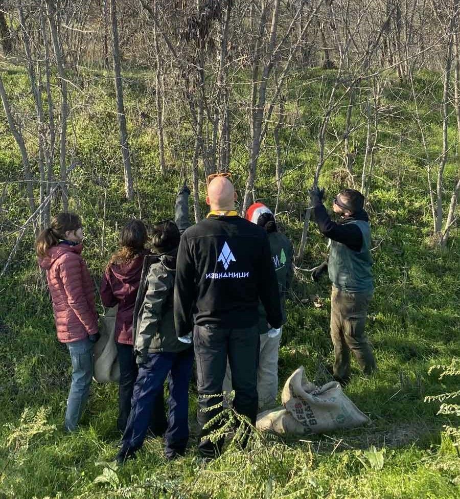 [Aggregator] Downloaded image for imported item #42835