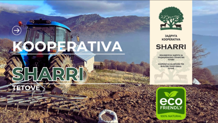 [Aggregator] Downloaded image for imported item #42708