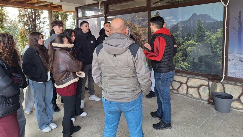 594291399 839889738788882 1726471293425126689 n