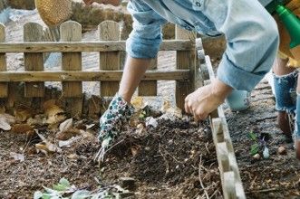 [Aggregator] Downloaded image for imported item #44632