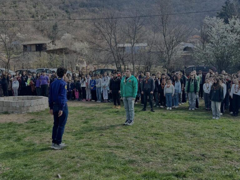 [Aggregator] Downloaded image for imported item #46156