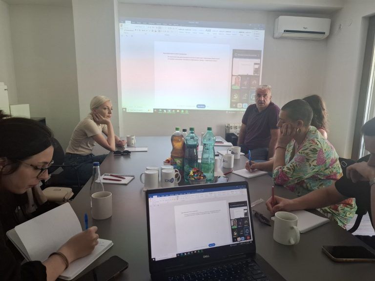 28.06.2026 meeting idscs p2 1 2 768x576