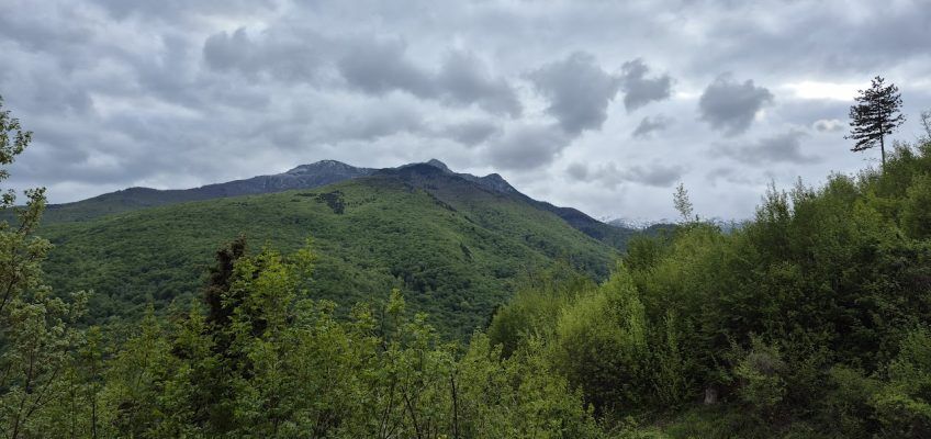 Кожуф 848x400