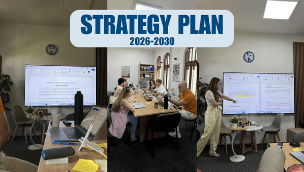 Strategy plan web cover
